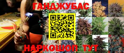 СК Донецк