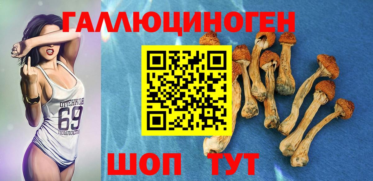 Галлюциногенные грибы MAGIC MUSHROOMS Лосино-Петровский